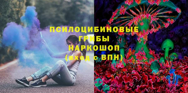 мдпв Няндома