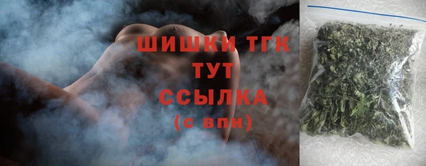 мдпв Няндома
