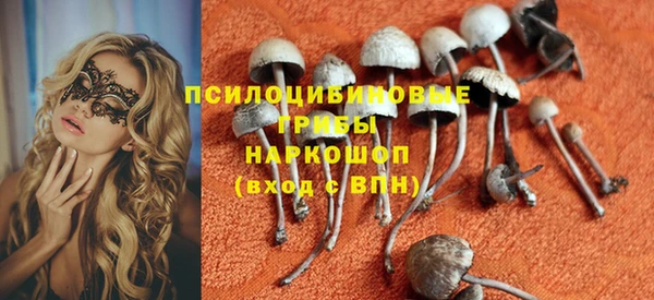 мдпв Няндома