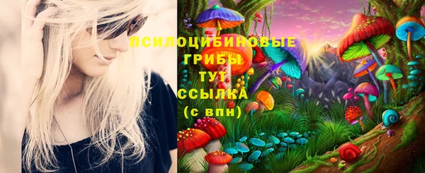 бошки Нязепетровск