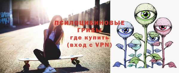 мдпв Няндома