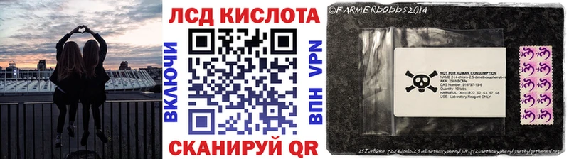Марки N-bome 1,8мг  как найти наркотики  Няндома 